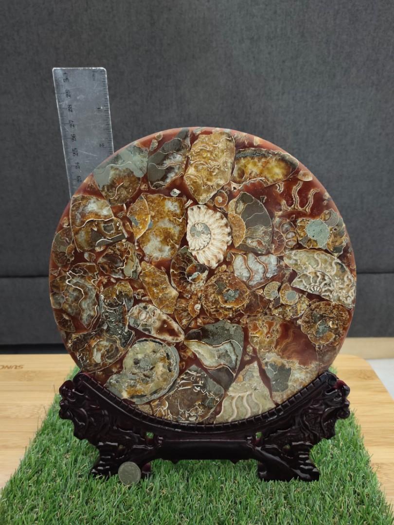 100%天然招财风水化石螺盘，招财又招运（水晶，玉，菩萨，玉髓，龙 