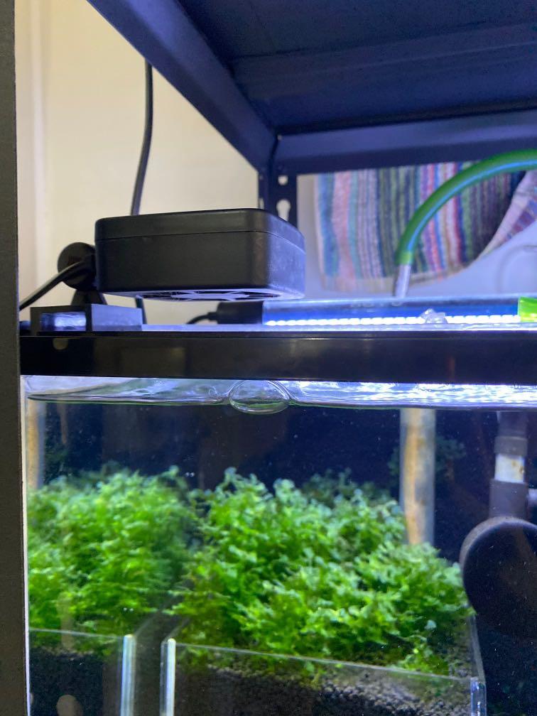 cooling an aquarium