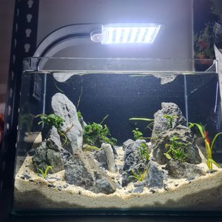 (Category: ) located in . Submitted by sunny21572002 (Listing ID 1128208894, Image 1). Description: .