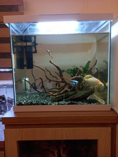 (Category: ) located in . Submitted by daveemurali (Listing ID 1128235825, Image 1). Description: .
