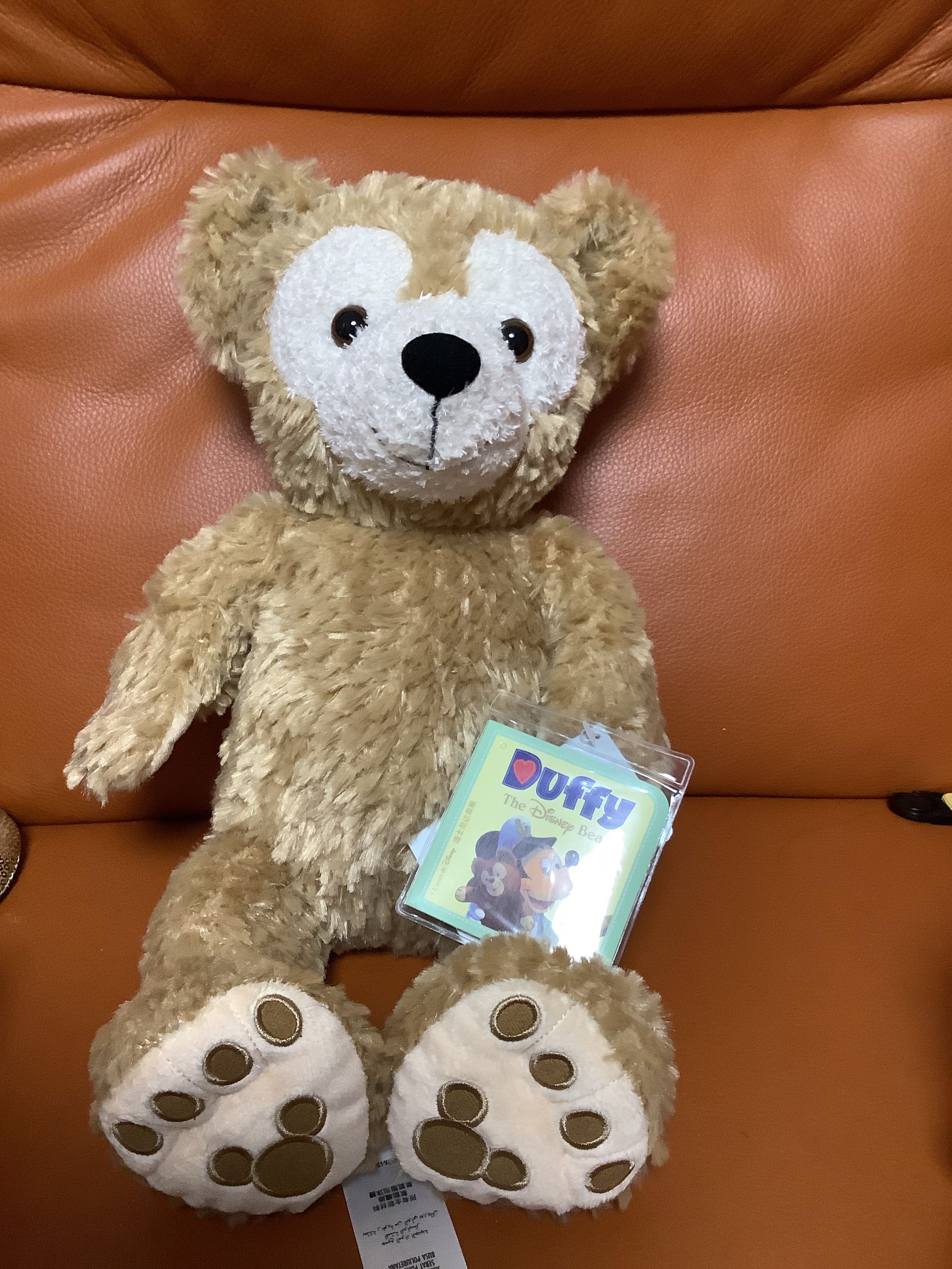 Hong Kong Disneyland Duffy S Size Plush (現貨）迪士尼達菲S號公仔