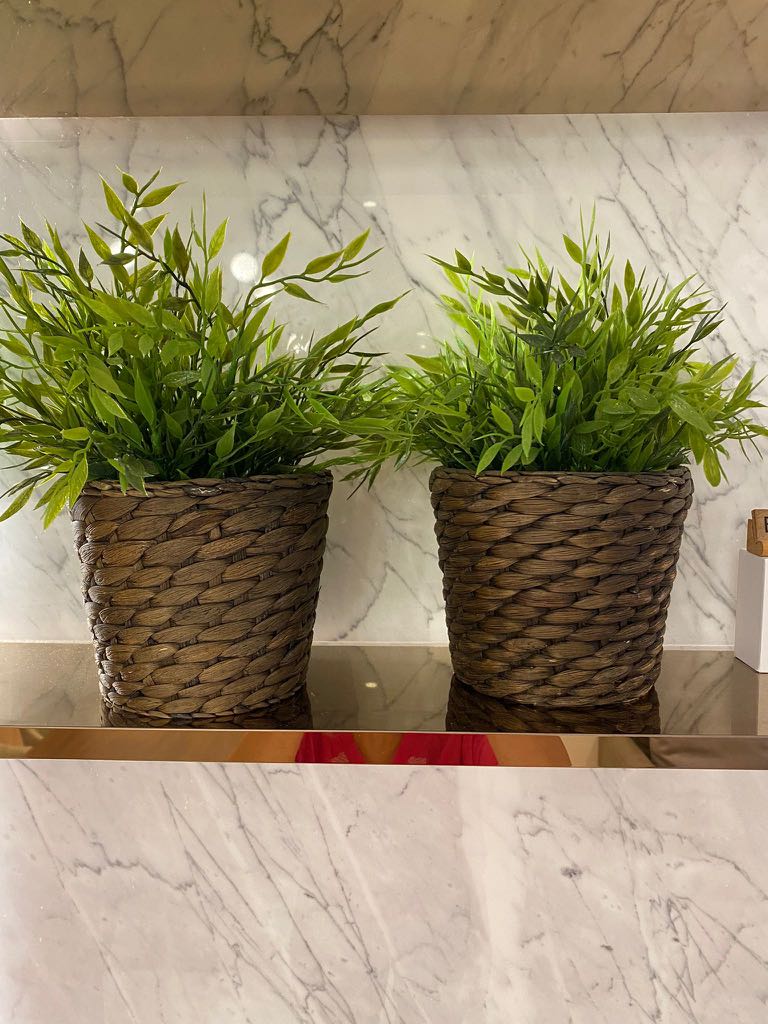 ikea fake / faux plants, Furniture & Home Living, Furniture, Other Home