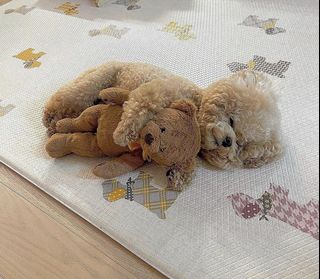 (Category: ) located in . Submitted by _tns_ (Listing ID 1128110597, Image 1). Description: .