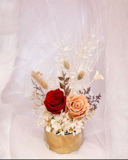 (Category: ) located in . Submitted by ohblessedblooms (Listing ID 1128103747, Image 1). Description: .