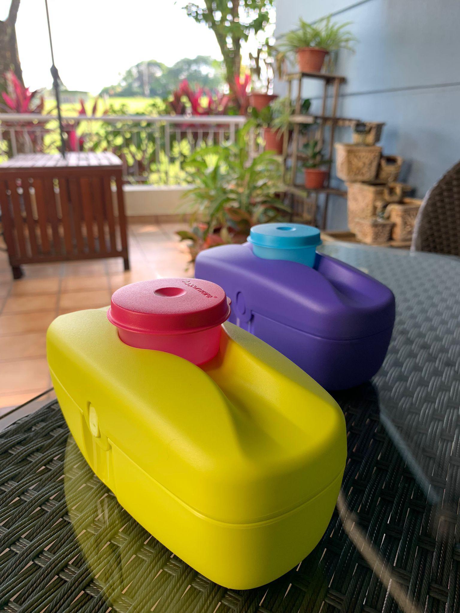 Tupperware Hot Dog Container, Furniture & Home Living, Kitchenware