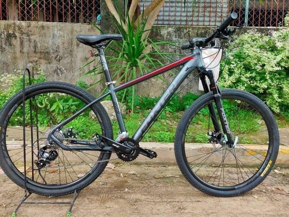 Foxter 2025 princeton 29er