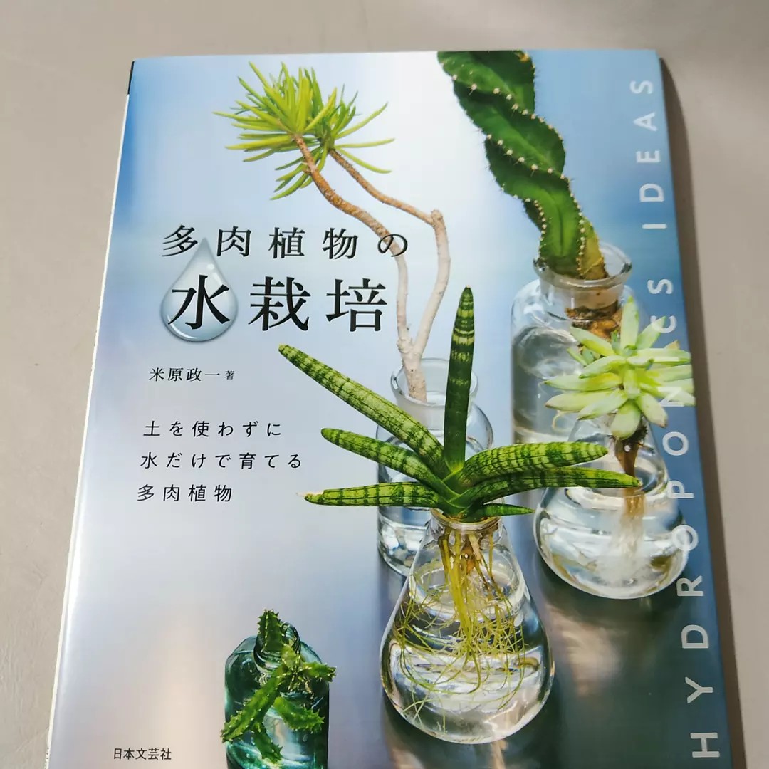 水栽培多肉植物書籍日本原裝進口succulent Caudex Planting Book 傢俬 家居 園藝 園藝工具和裝飾品 Carousell