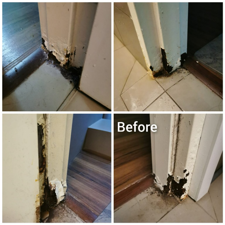 (Category: ) located in . Submitted by tandoorframerepair (Listing ID 1128334806, Image 1). Description: .
