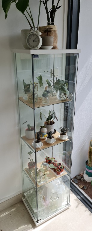 Detolf glass cabinet new arrivals