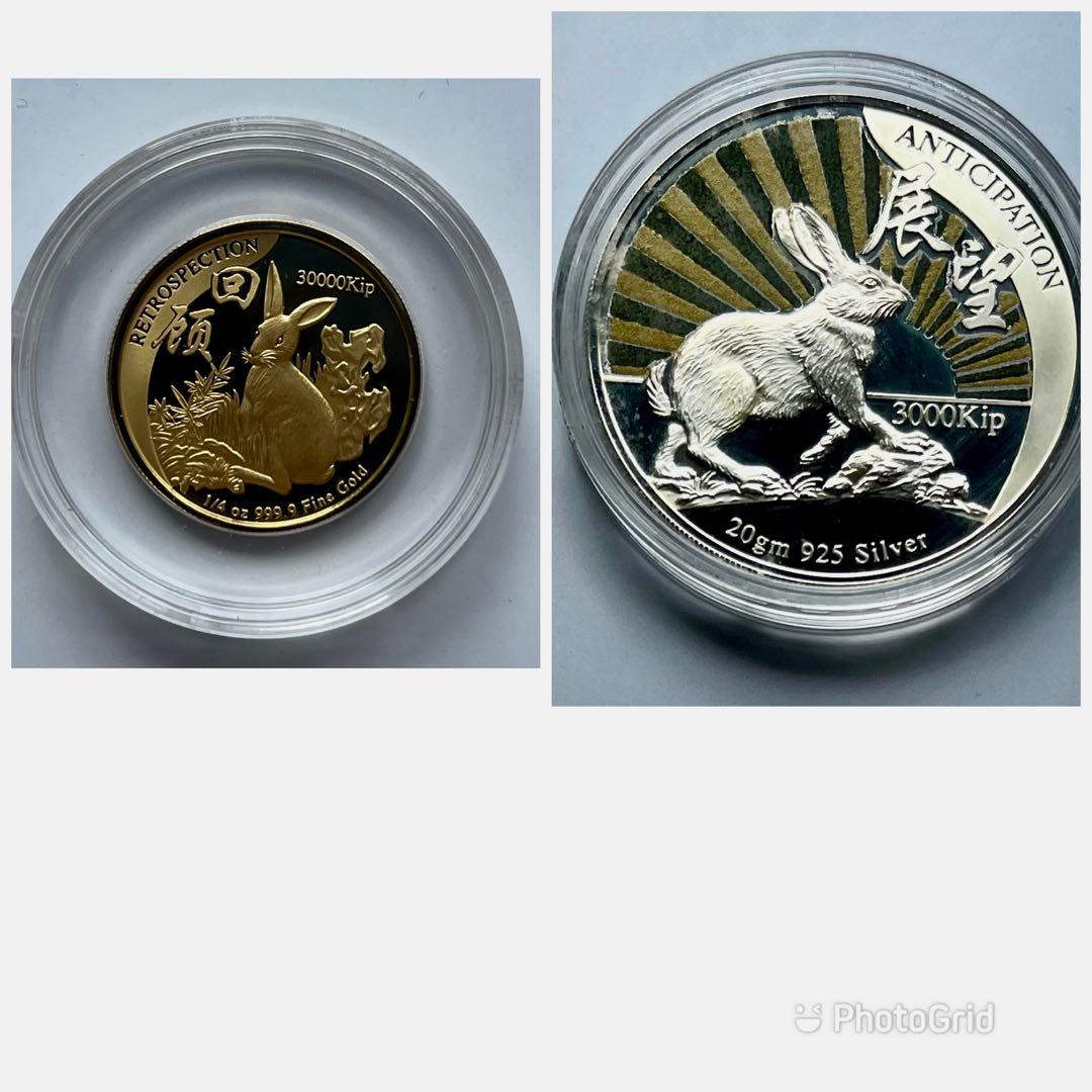 Laos 1999 Year of Rabbit Coin Set, Hobbies & Toys, Memorabilia ...