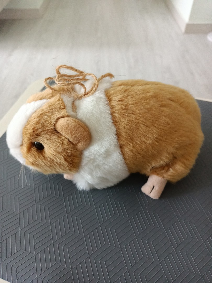 Soft toy Guinea pig, Hobbies & Toys, Toys & Games on Carousell