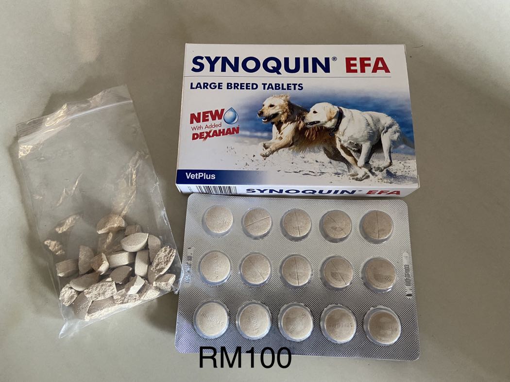 Synoquin large breed sale