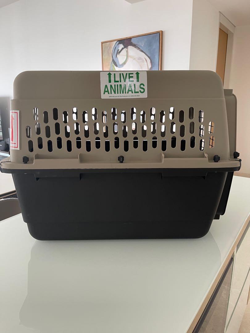 Great choice dog crate airline approved online