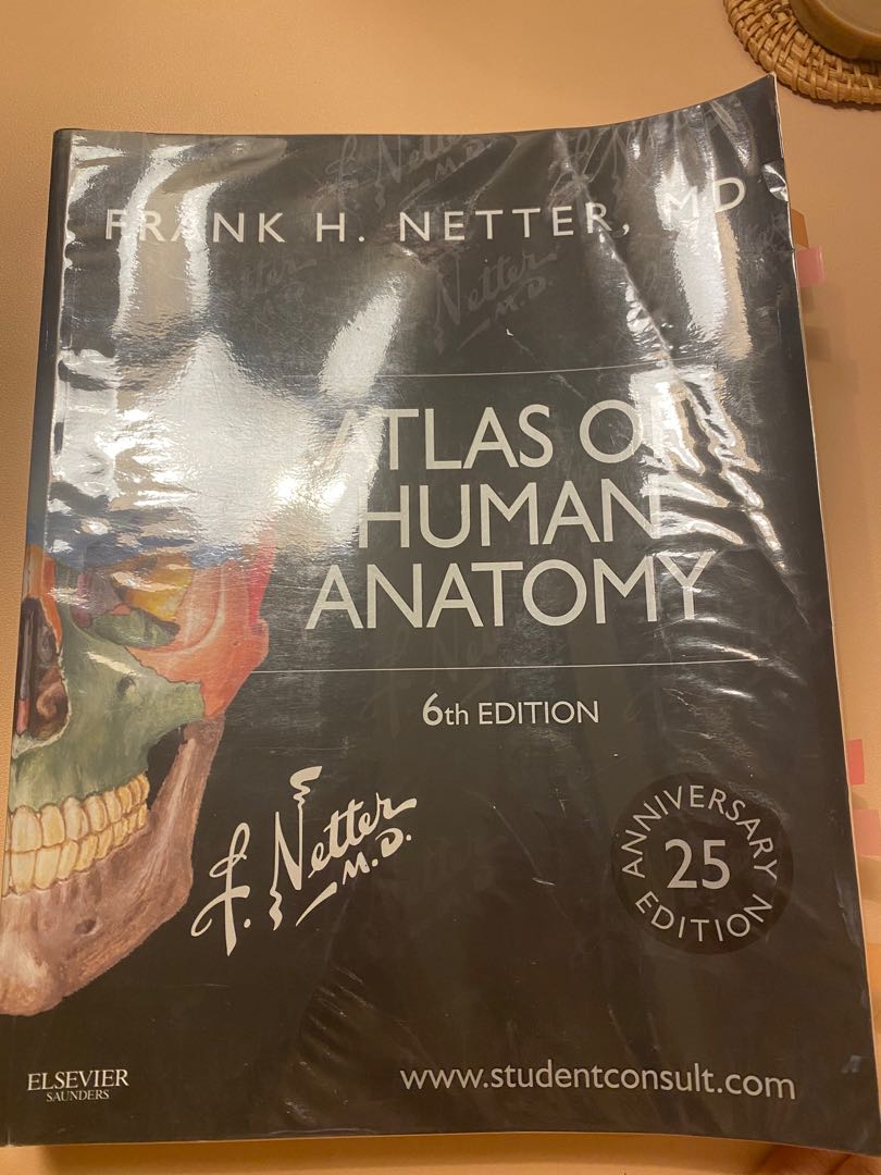 Atlas of Human Anatomy (Netter), Hobbies & Toys, Books & Magazines ...