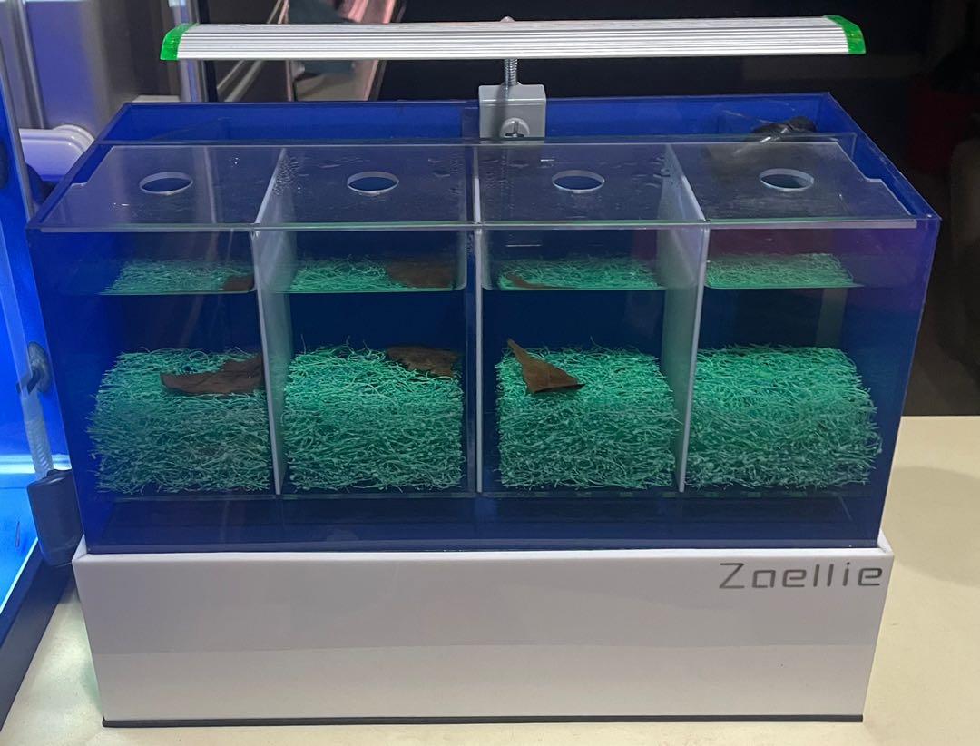 4 betta hot sale fish tank