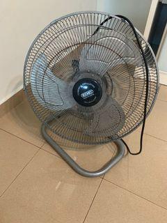 Booney fan