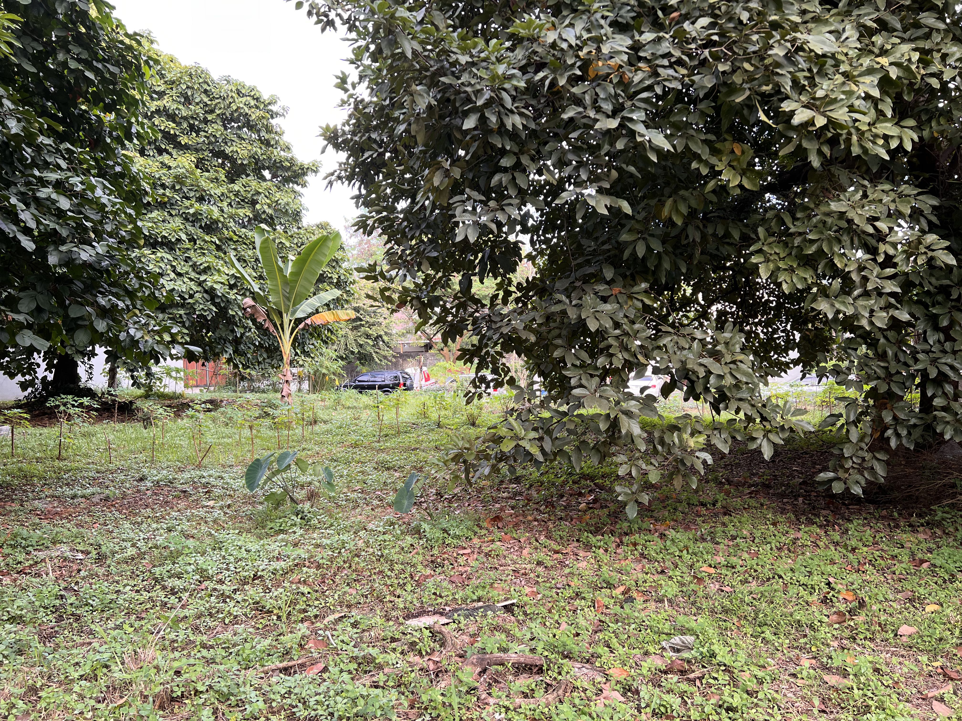 (Category: ) located in . Submitted by brokerhanstaneo_09178038728 (Listing ID 1128507324, Image 1). Description: .