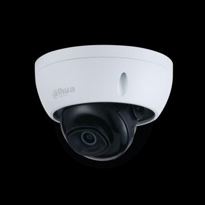 dahua cameras banned