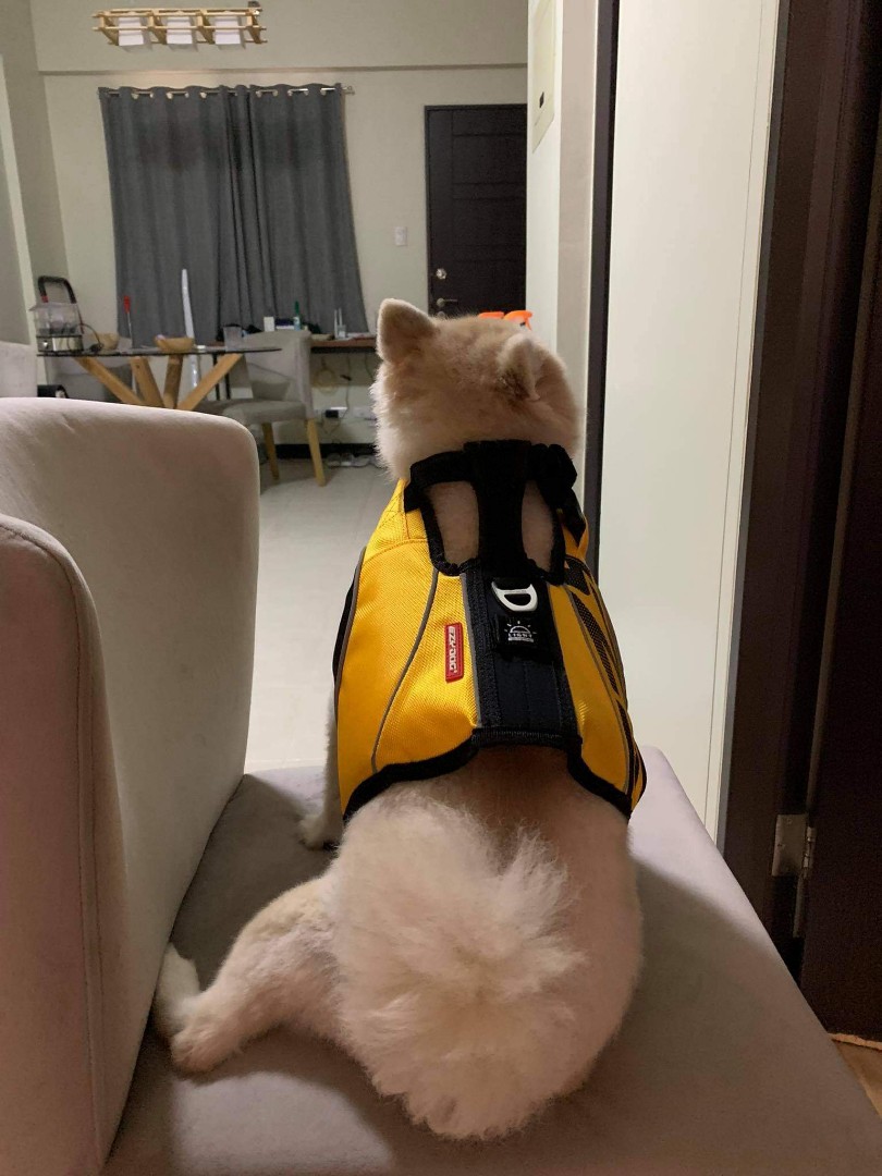 dfd x2 boost lifejacket