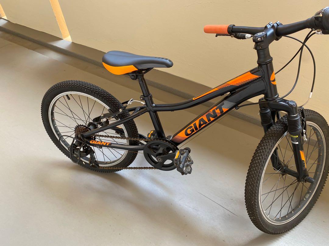 Giant adult sales bike