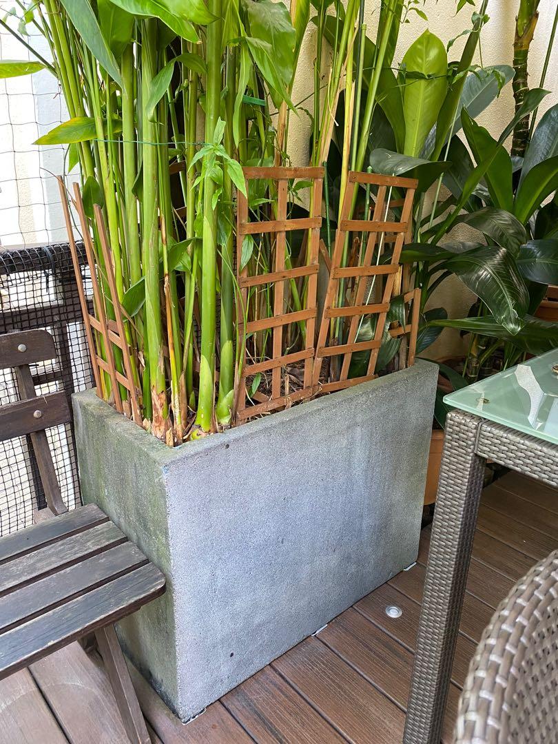 Rectangular Stone Planter. (Category: Pots & Planters) located in Singapore. Submitted by tanklsg (Listing ID 1128561296, Image 3). Description: Rectangular stone planter. Length 80cm. Width 40cm. Height 60cm. Very heavy and stable. Good for decor and for growing plants to enhance privacy. Selling cheap at $180. One of a kind..