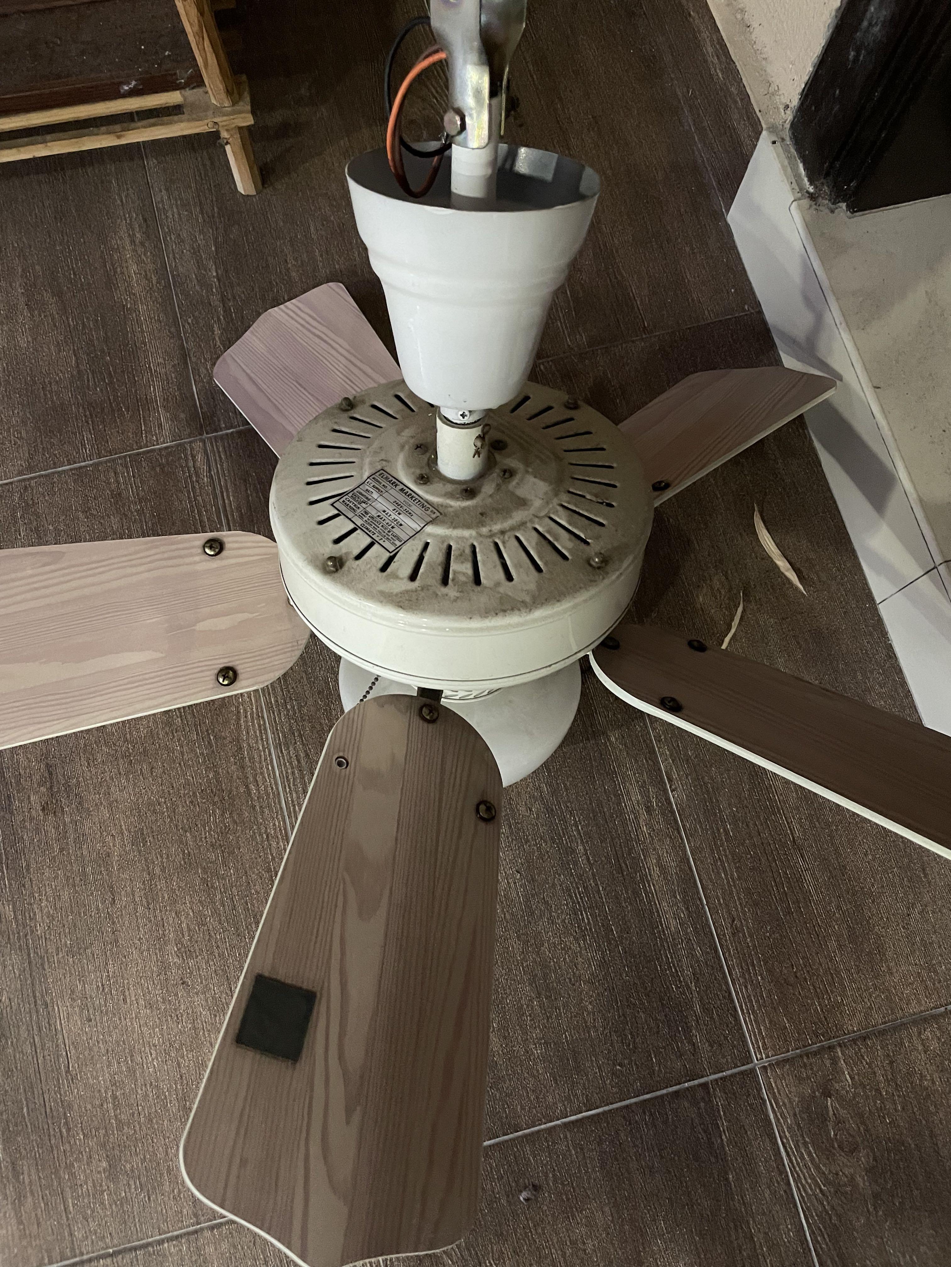 Vintage Baby Ceiling Fan with Light 5Blade ELMARK, Furniture & Home