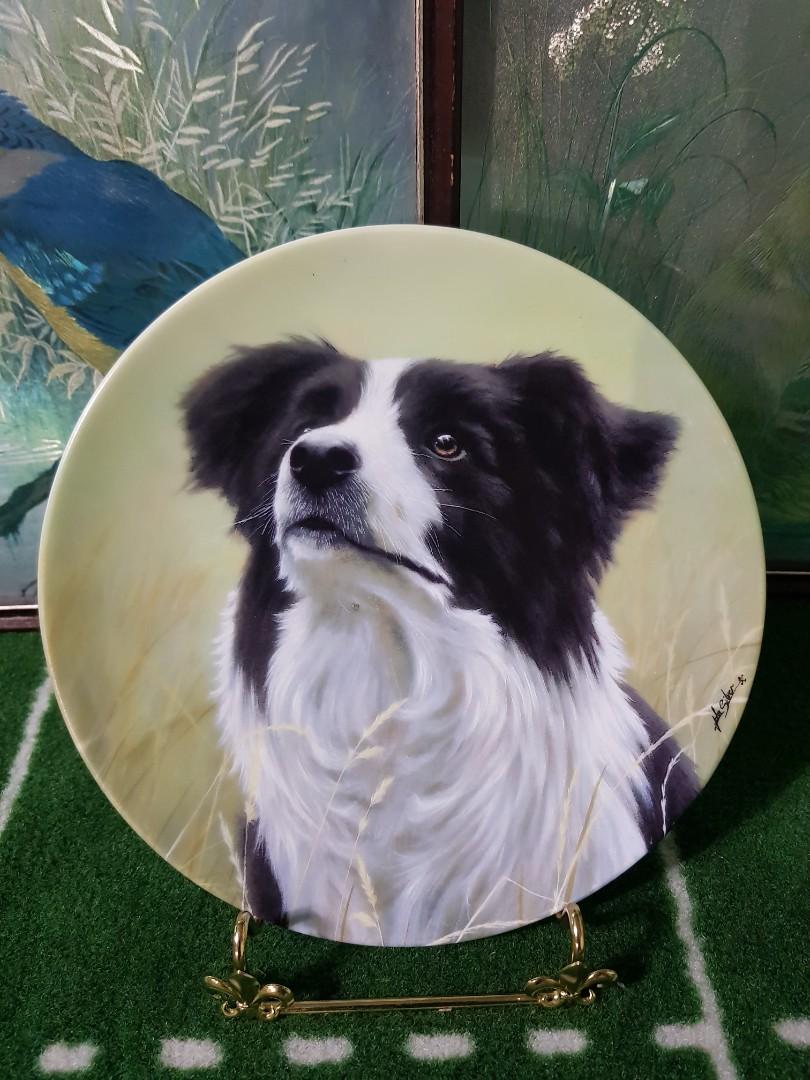 Collie Collectible plate Mayfair fine Bone china made in Staffordshire England