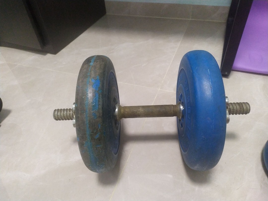 Excentriek Haven Hoe dan ook 1 dumbell - total 11 kg, Sports Equipment, Exercise & Fitness, Weights &  Dumbbells on Carousell