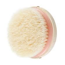 ecotools dry body brush (Category: Bath) located in Paranaque City. Submitted by colormeredph (Listing ID 1123363210, Image 2). Description: .