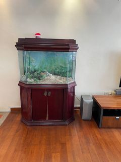 (Category: ) located in . Submitted by janet021617 (Listing ID 1123442552, Image 1). Description: .