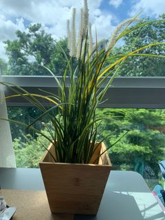 (Category: ) located in . Submitted by charlinecole (Listing ID 1123339724, Image 1). Description: .