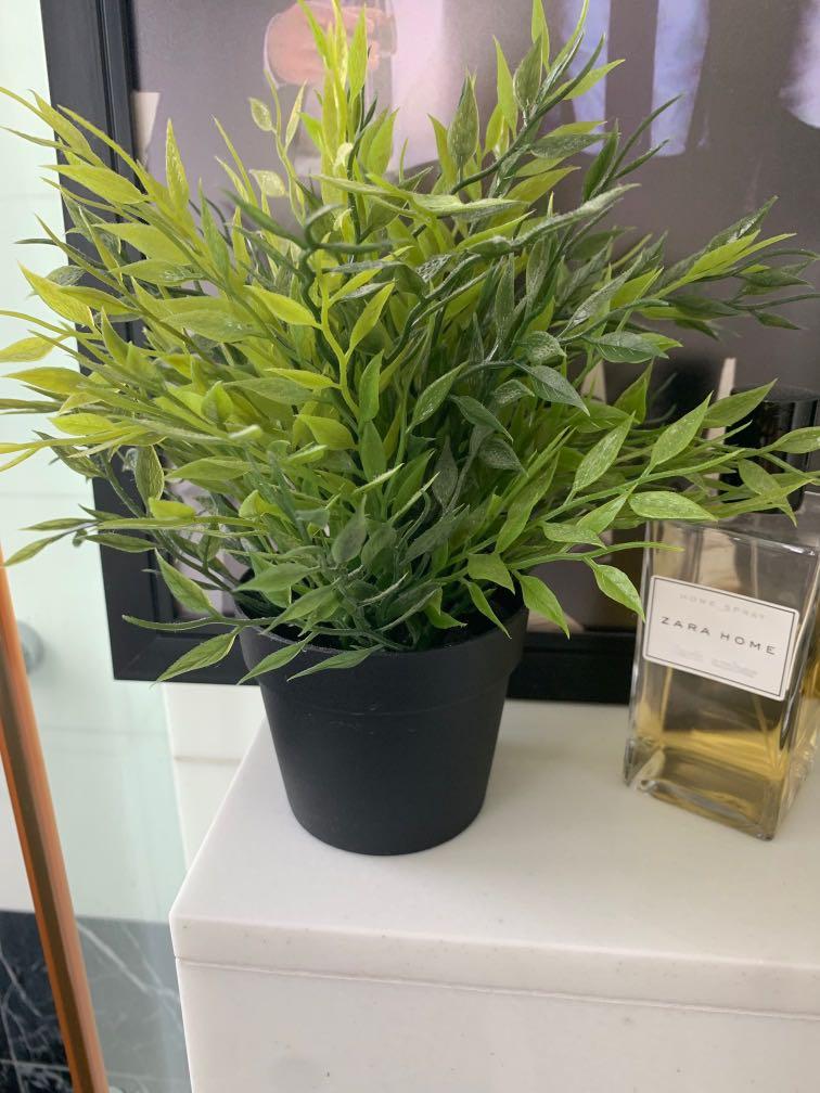 IKEA fake plant, Furniture & Home Living, Gardening, Plants & Seeds on Carousell