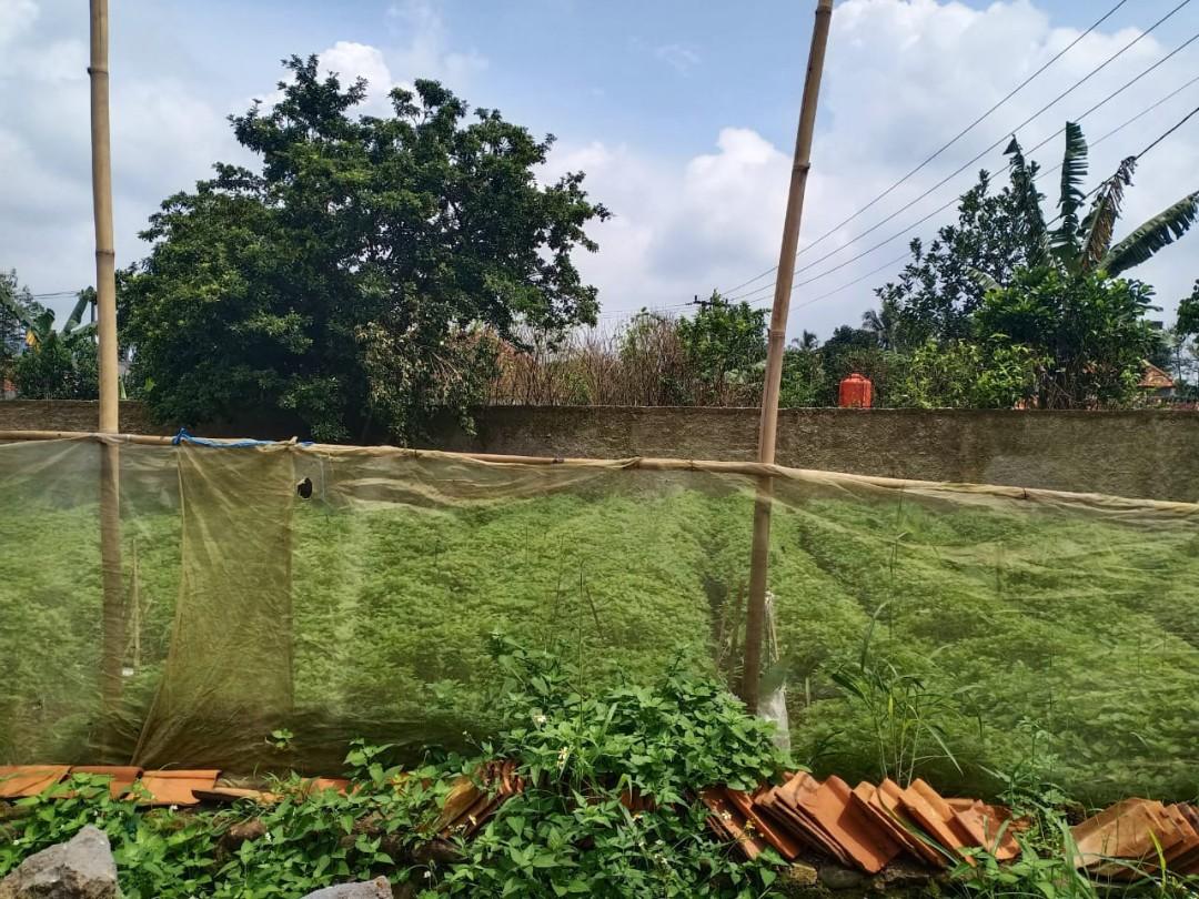 Jual Tanah kavling murah bogor, Properti, Dijual di Carousell