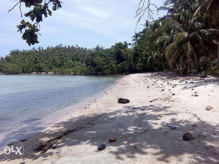 9ha Agriland Land for sale,Taguan,Misong Oriental Mindoro C Title
