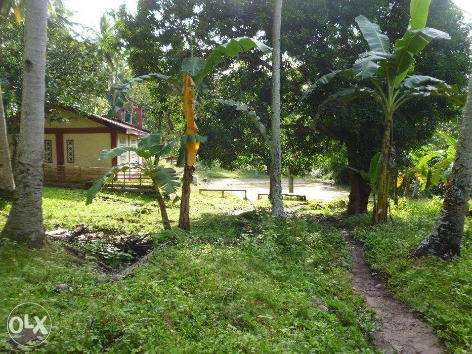 9ha Agriland Land for sale,Taguan,Misong Oriental Mindoro C Title