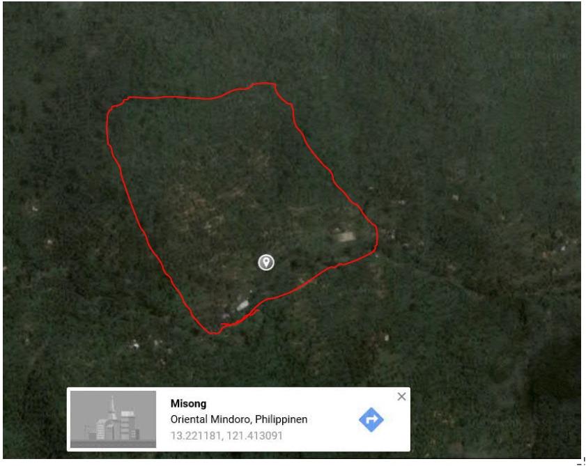 9ha Agriland Land for sale,Taguan,Misong Oriental Mindoro C Title