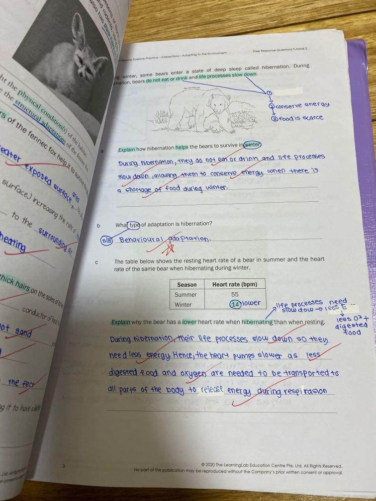 2021 Learning lab worksheets for p6 science and English (some of