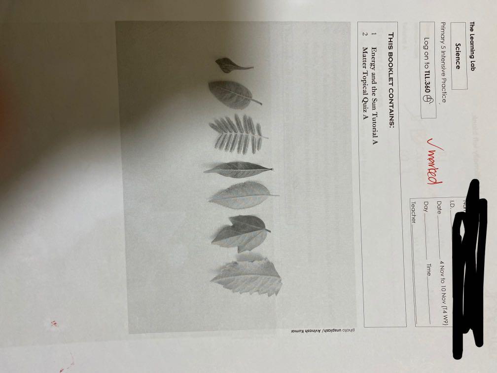 2021 Learning lab worksheets for p6 science and English (some of