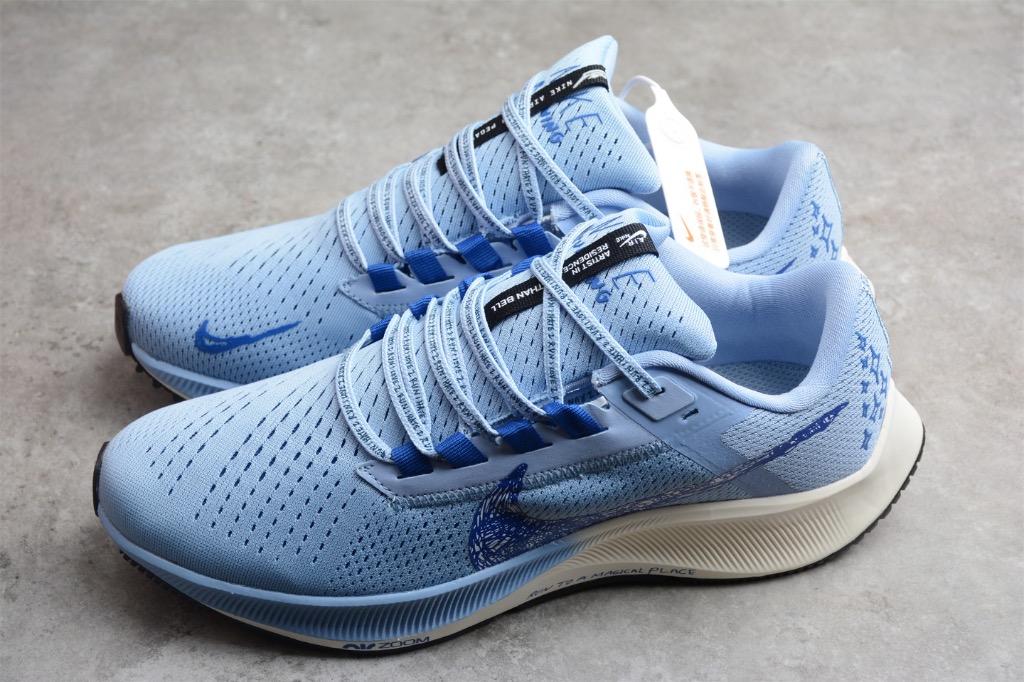 pegasus 38 blue
