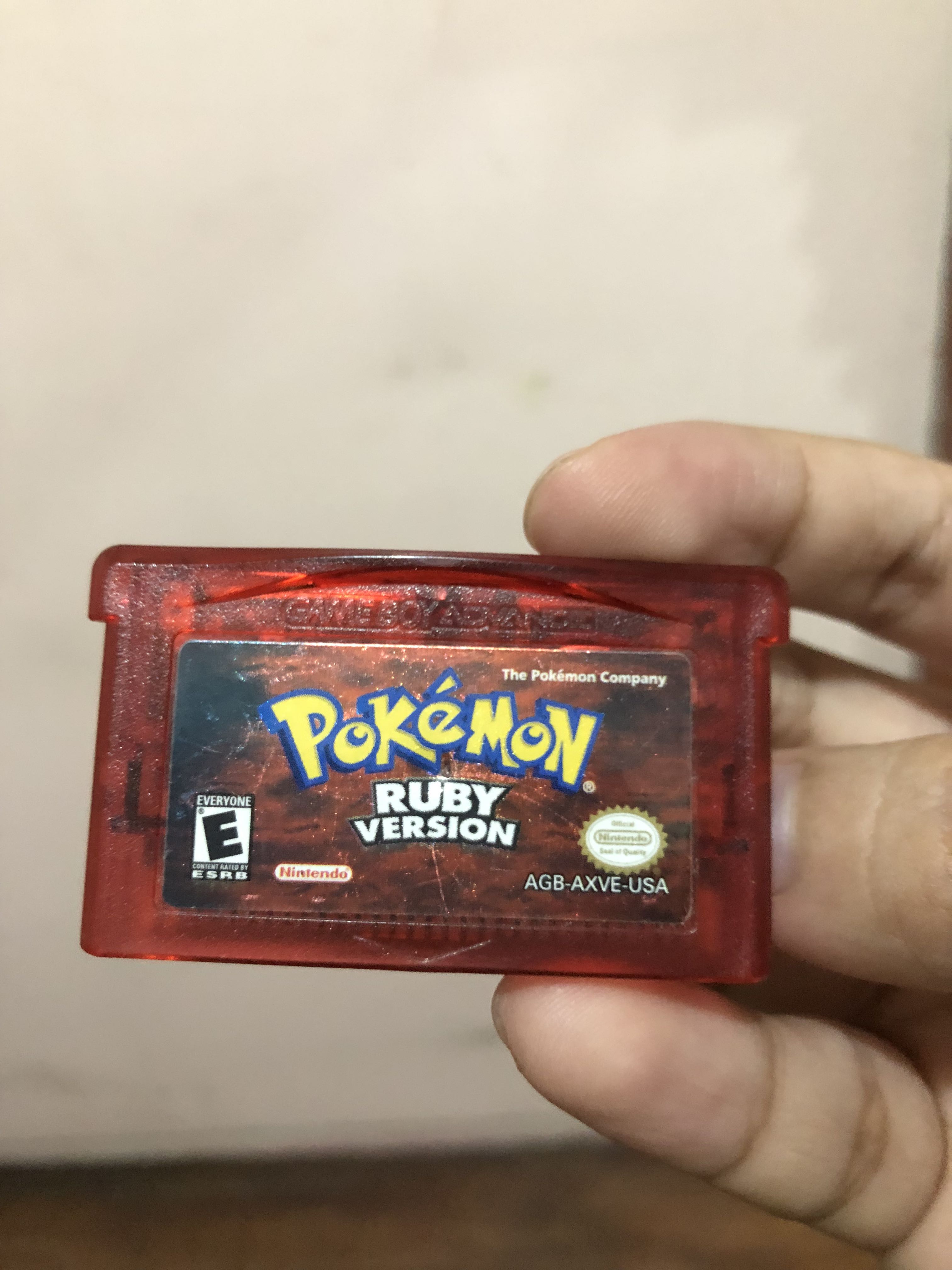 Pokemon Ruby Version (Game Boy Advance), Video Gaming, Video Games