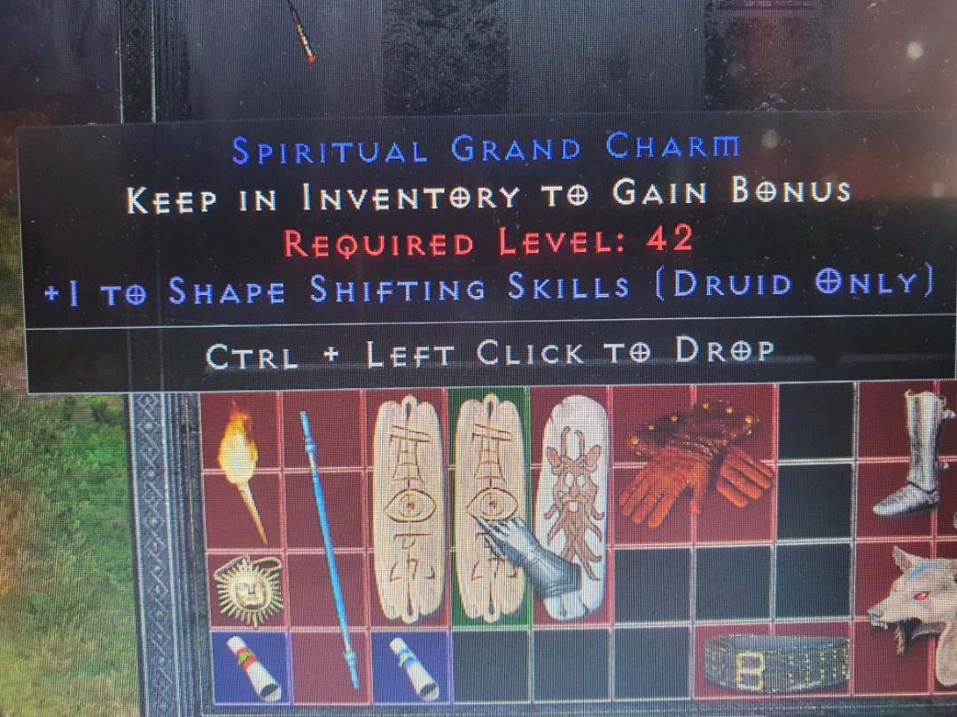 Spiritual Grand Charm Diablo 2 Resurrected D2R (PC/PS4/PS5/Switch