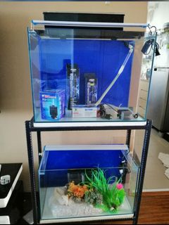 (Category: ) located in . Submitted by forgetpw (Listing ID 1123432159, Image 1). Description: .