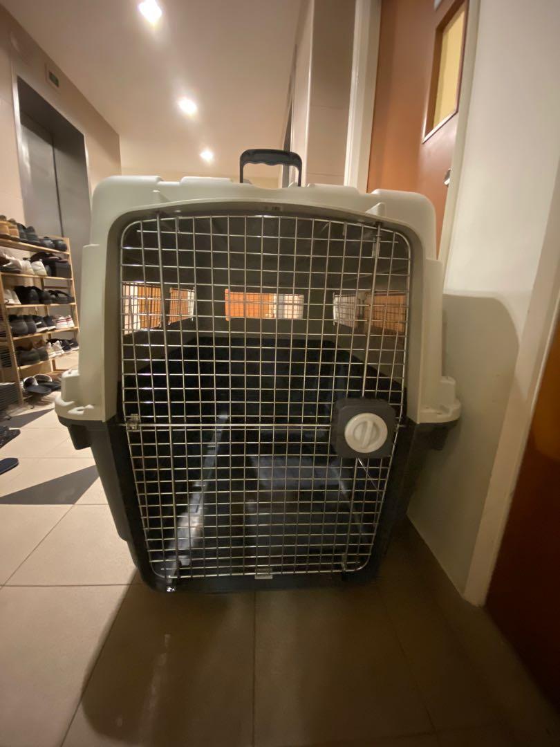 XXXL Airline Approved Dog Crate Carrier Travel Cage, Pet Supplies