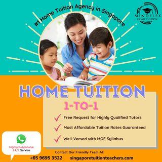 1-To-1 Top Home Tutor! PSLE O N A Level IB IGCSE AP Preschool Kindergarten Primary Secondary JC Poly ITE Uni English Science Math Chinese Malay Tamil Chemistry Biology Physics POA Accounting Econs GP Literature History Geography Tuition Teacher