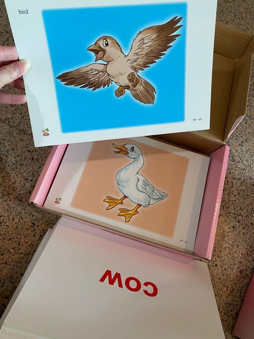 Piccolo Flash Card.pdf (All for $260) Flashcards Singapore Edition, Logico Piccolo & Rondo ...