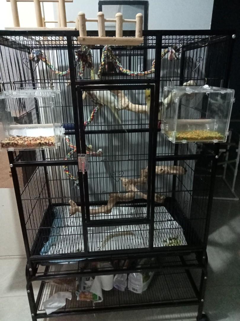 craigslist bird cages