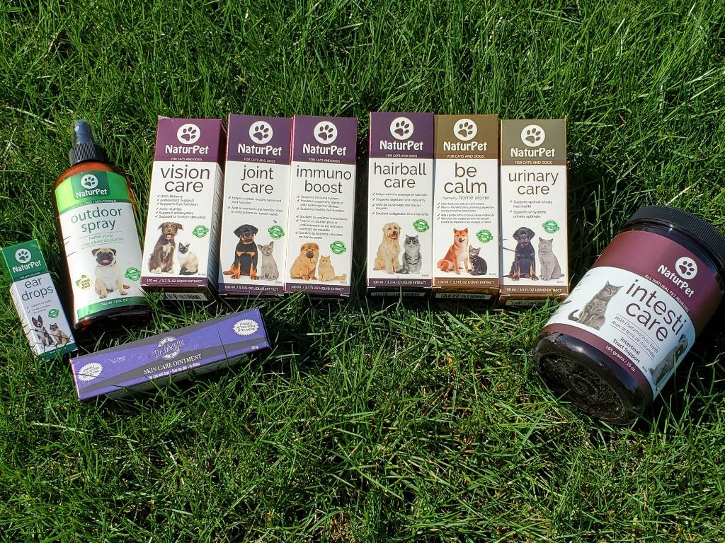 Dr Maggie Dog Herbal Skin Care Ointment 草藥軟膏狗狗皮膚傷口、皮疹、蟲咬和熱點, 寵物用品, 寵物衣服