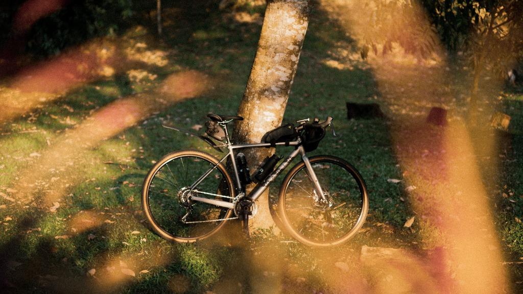 Marin lombard 1 2021 sales