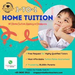 Find A 1-To-1 Home Tutor in 6 Hours! PSLE O N A Level IB IGCSE AP Preschool Kindergarten Primary Secondary JC Poly ITE Uni English Science Math Chinese Chemistry Biology Physics POA Accounting Econs GP Literature History Geography Tuition Teacher