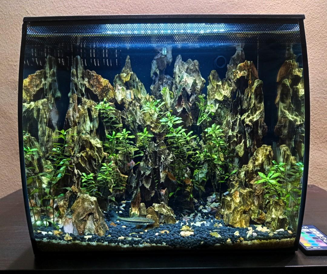 Fluval flex 30 gallon sales